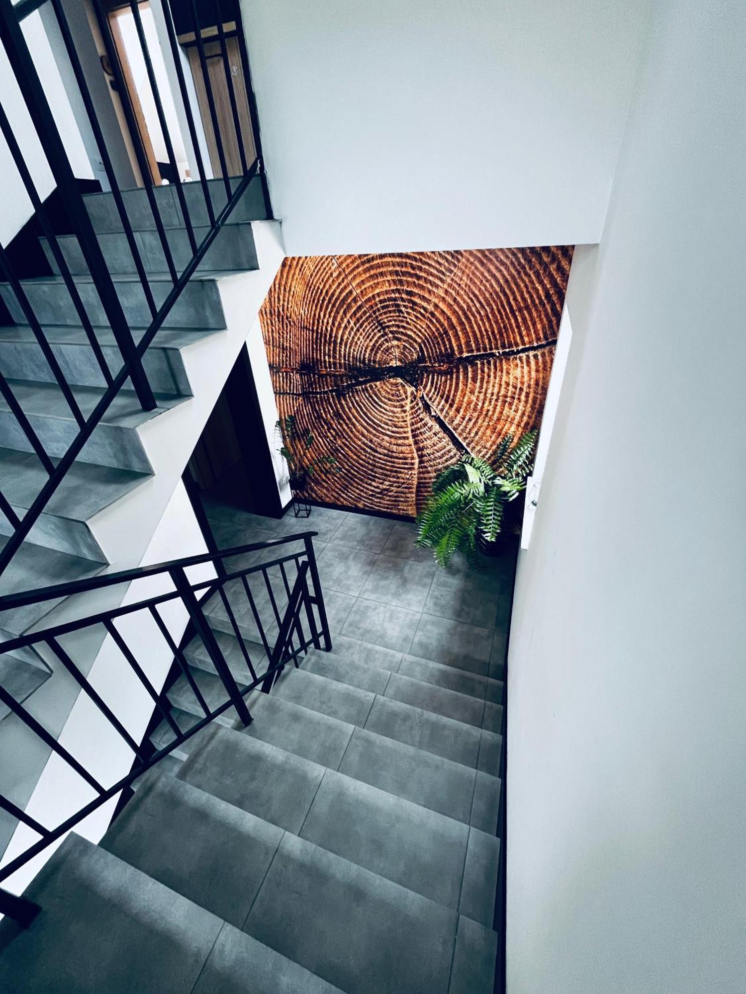 Władysławowo Pokoje I Apartamenty Antonowka מראה חיצוני תמונה